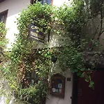Hotel Camel &