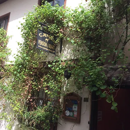 Otel Camel &