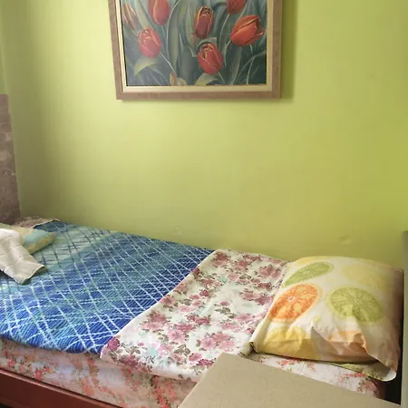 Camel & Hotel Antalya