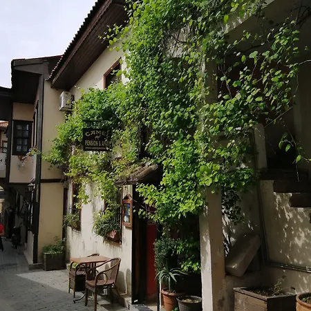 Camel & Hotel Antália