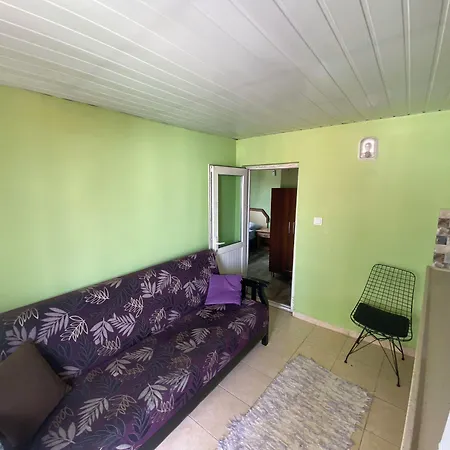 Camel & Hotel Antalya