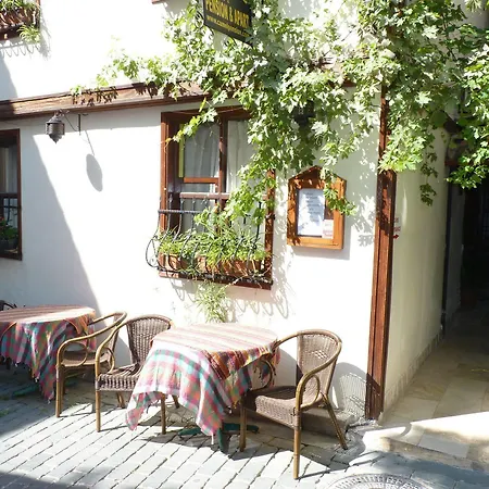 Hotel Camel & 3*