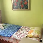 Camel & Hotel Antalya